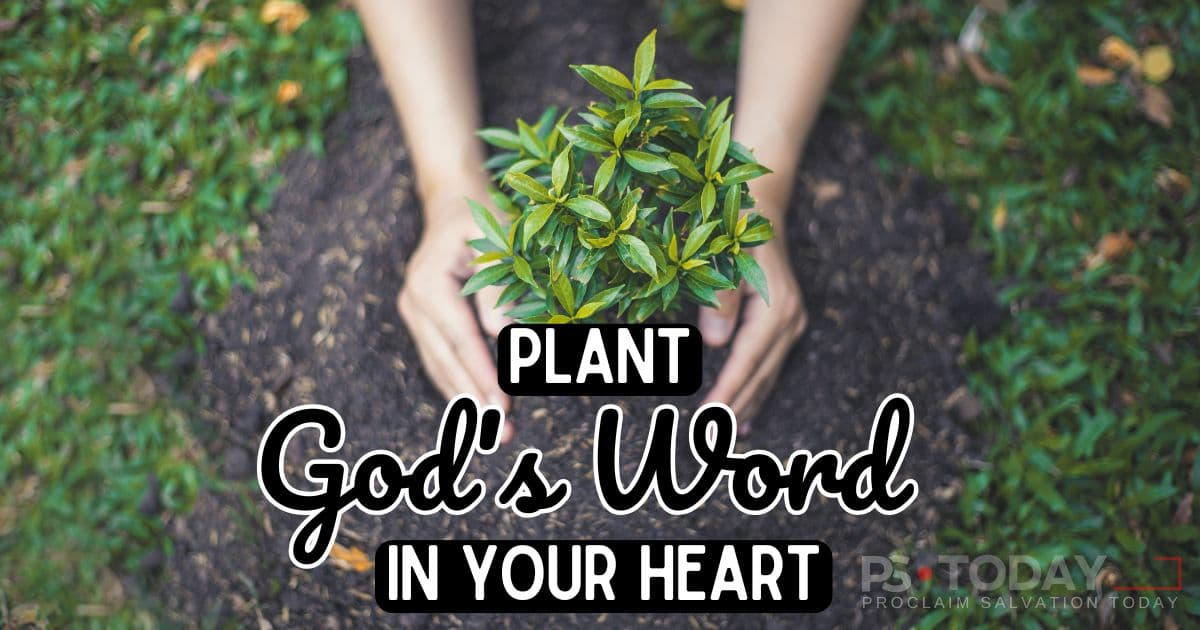 PLANTING SEEDS WITH THE EXPECTATION - PS.Today