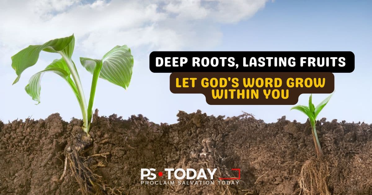 DEEP ROOTS FOR LASTING FRUITS - PS.Today