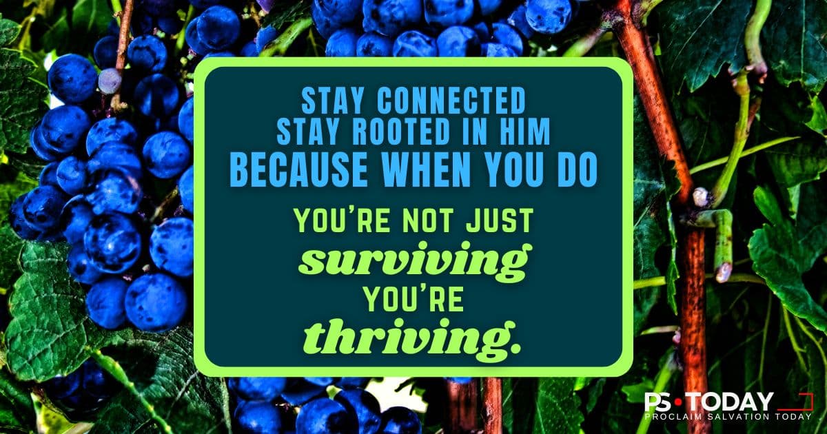 THE SECRET TO THRIVING - PS.Today