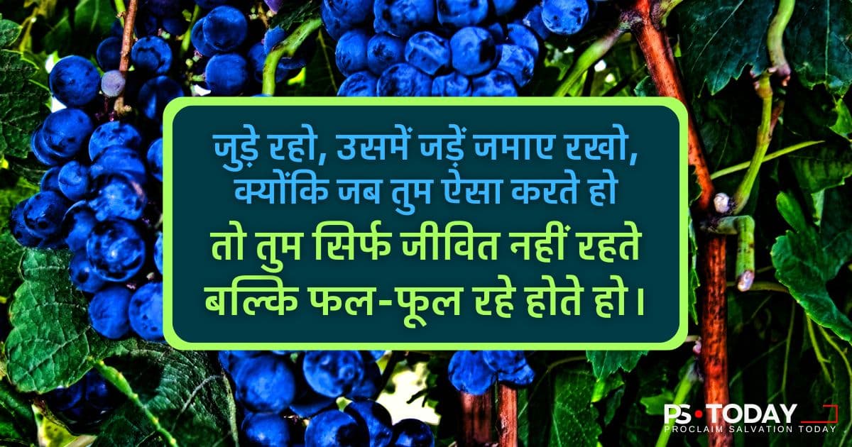 फलने-फूलने का रहस्य - PS.Today