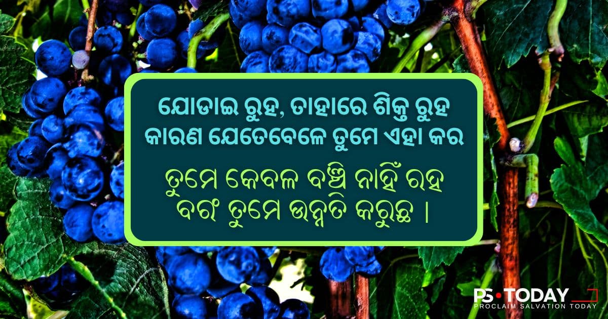 ସମୃଦ୍ଧିର ରହସ୍ୟ - PS.Today