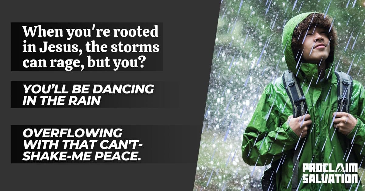 Roots Are Why The Tree Does Not Snap - PS.Today