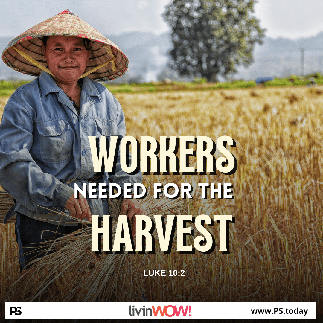 HARVEST IS PLENTY - PS.Today