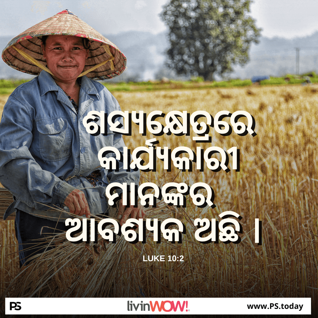 ପ୍ରଚୁର ଶସ୍ୟ - PS.Today