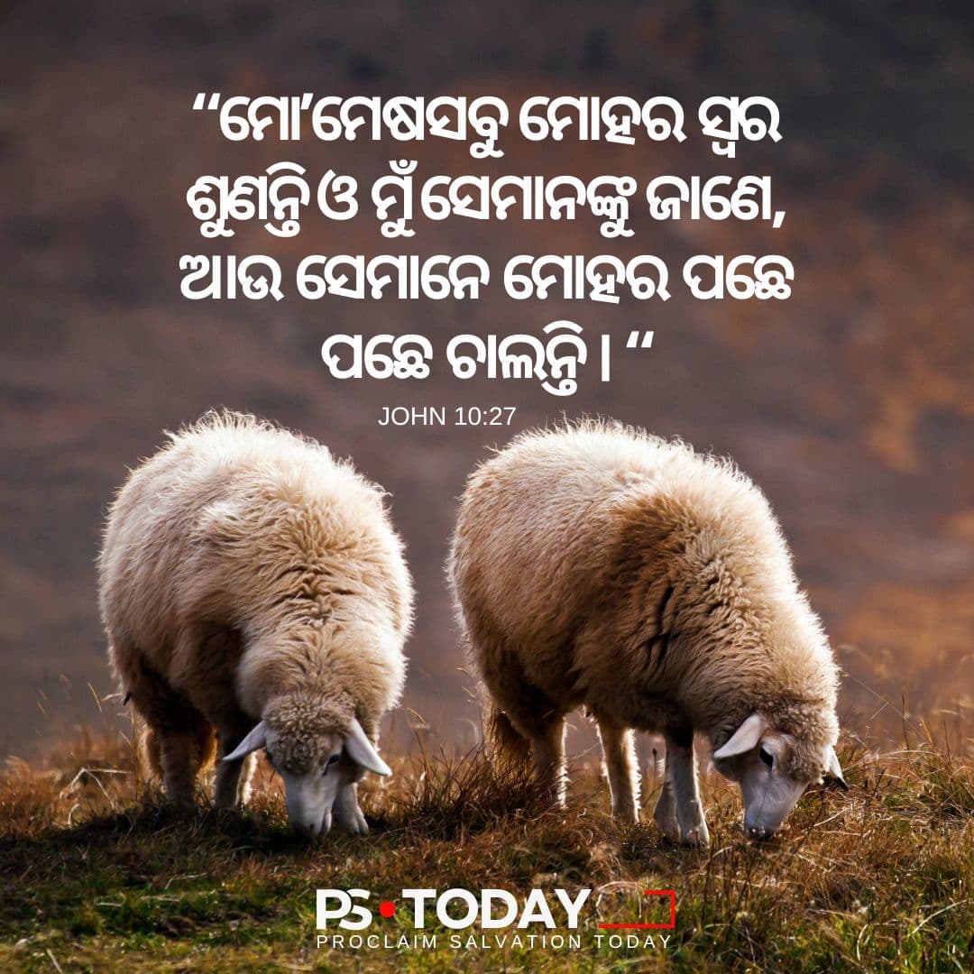 ବିଶ୍ୱାସର ଶକ୍ତିକୁ ଉନ୍ମୋଚନ କରନ୍ତୁ - PS.Today