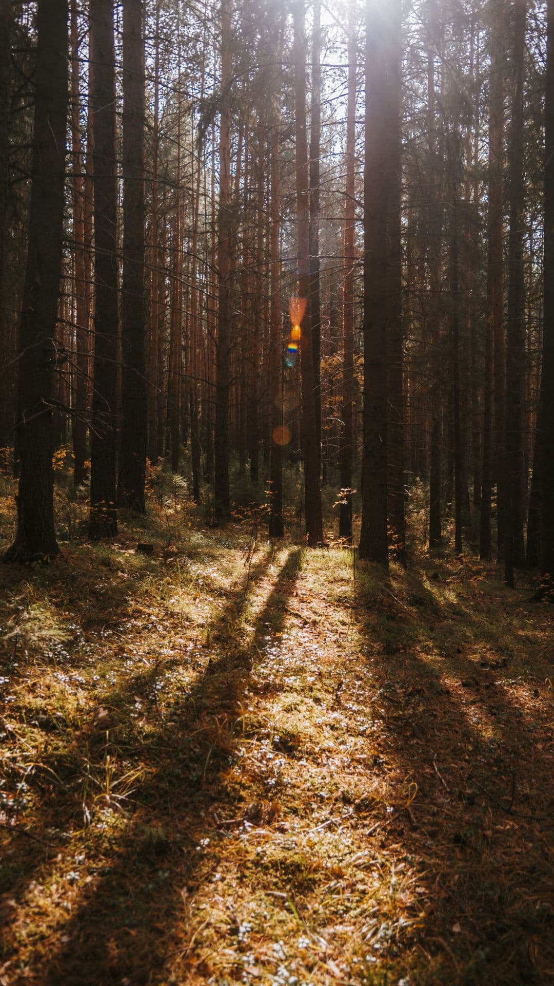 Featured Image