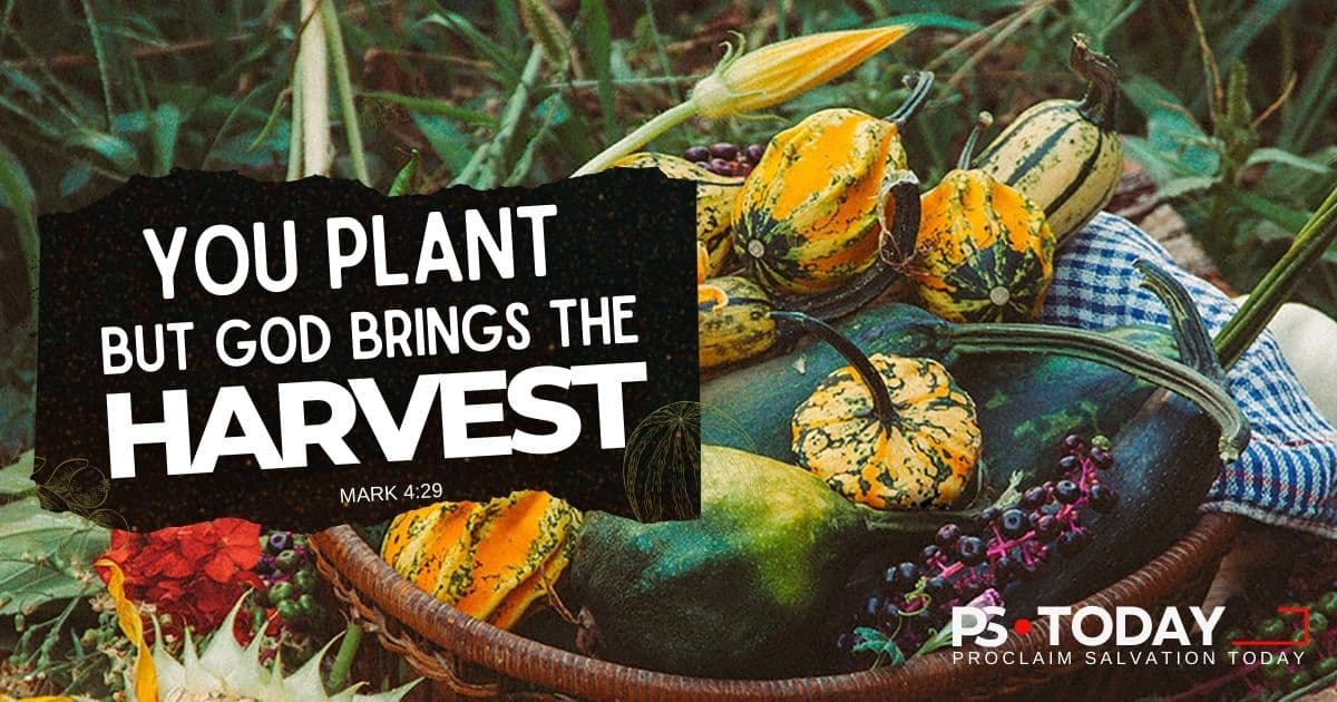 DON'T MISS OUT ON GOD'S HARVESTS - PS.Today