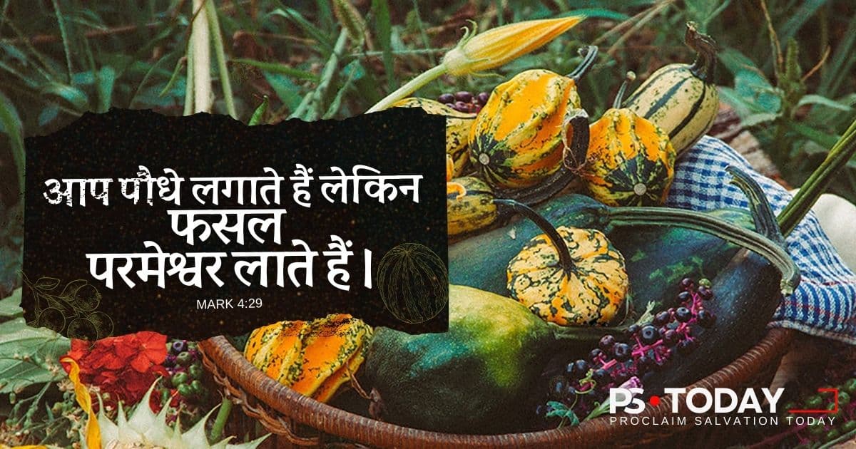 परमेश्वर की फसल को मत गँवाओ - PS.Today