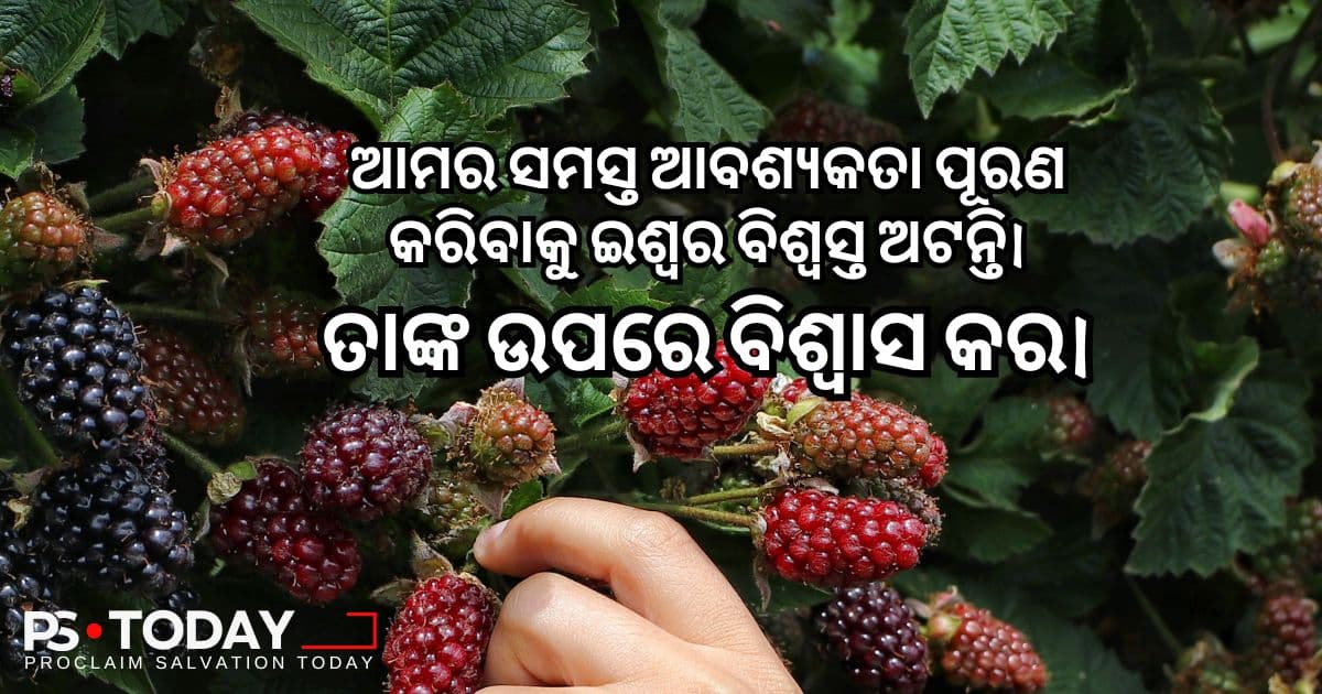 ଈଶ୍ଵରଙ୍କ ଯୋଗାଣବ୍ୟବସ୍ଥା ଉପରେ ବିଶ୍ୱାସ କରିବା - PS.Today