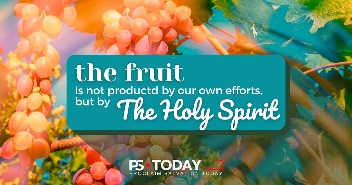 EFFORTLESS FRUIT - PS.Today