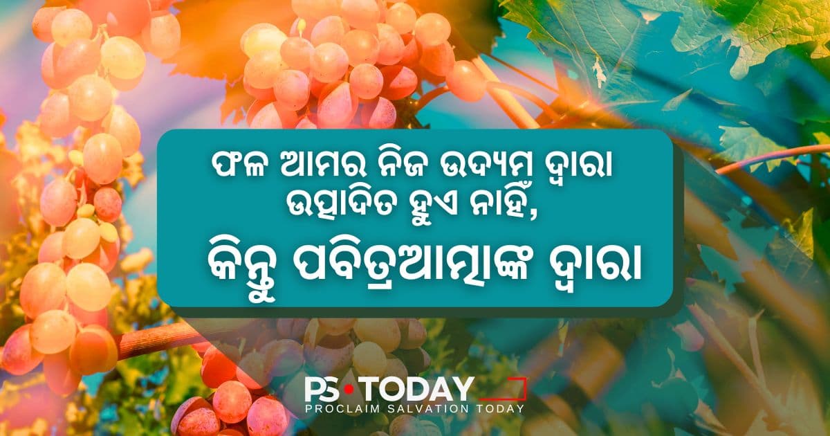ସହଜସାଧ୍ୟ ଫଳ - PS.Today