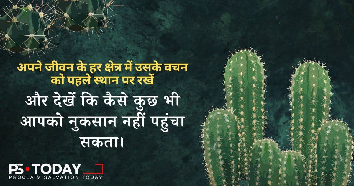 गहरी जड़ों के ज़रिए अटूट विश्वास - PS.Today