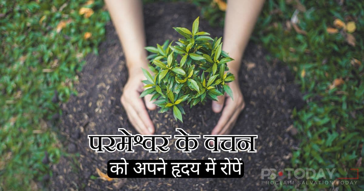 उम्मीद के साथ बीज बोना - PS.Today