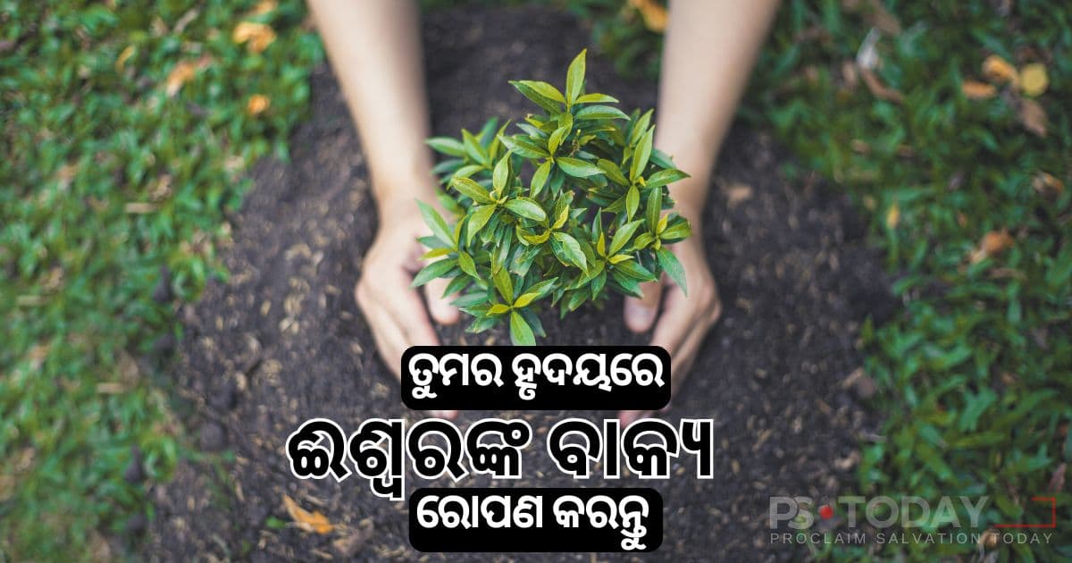 ଆଶାର ସହ ବୀଜ ବିହନ ରୋପଣ କରିବା - PS.Today