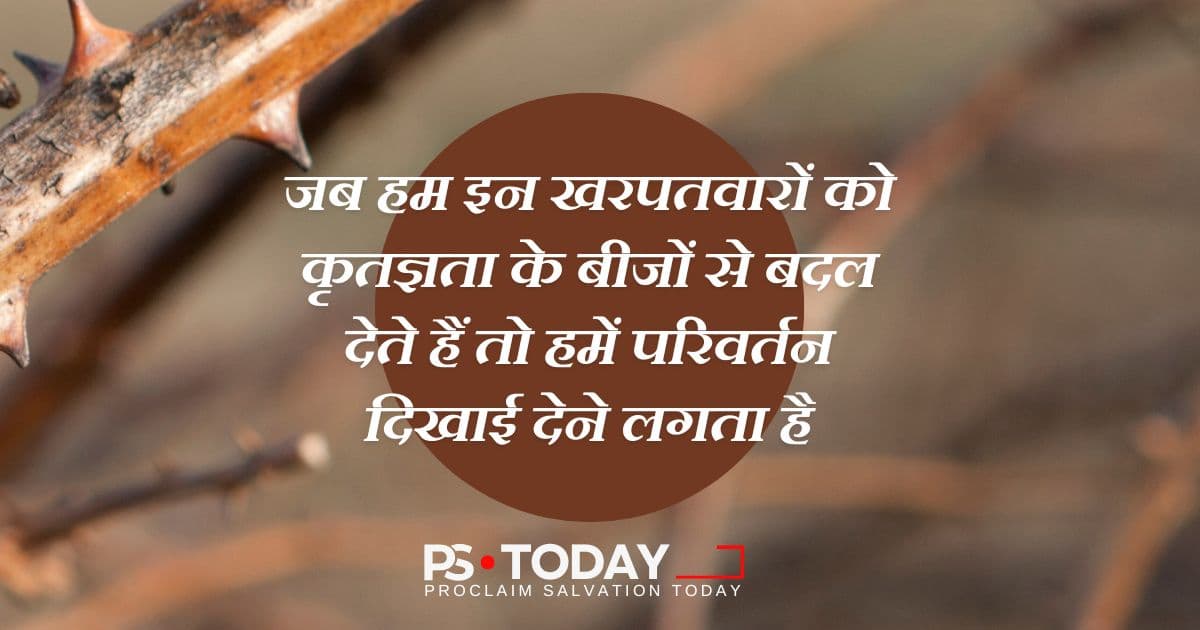 शिकायतों को धन्यवाद में बदलना - PS.Today