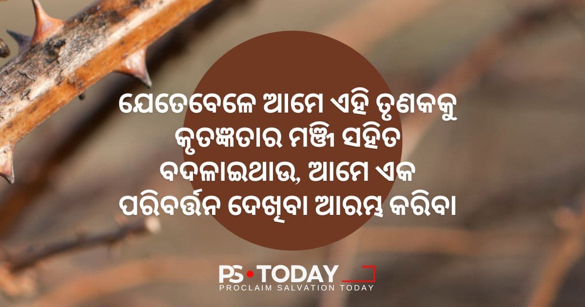 ଅଭିଯୋଗଗୁଡ଼ିକୁ ଧନ୍ୟବାଦରେ ପରିଣତ କରିବା - PS.Today