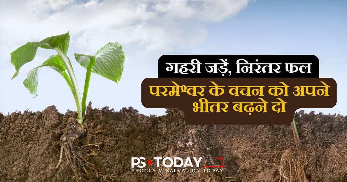 स्थायी फलों के लिए गहरी जड़ें - PS.Today