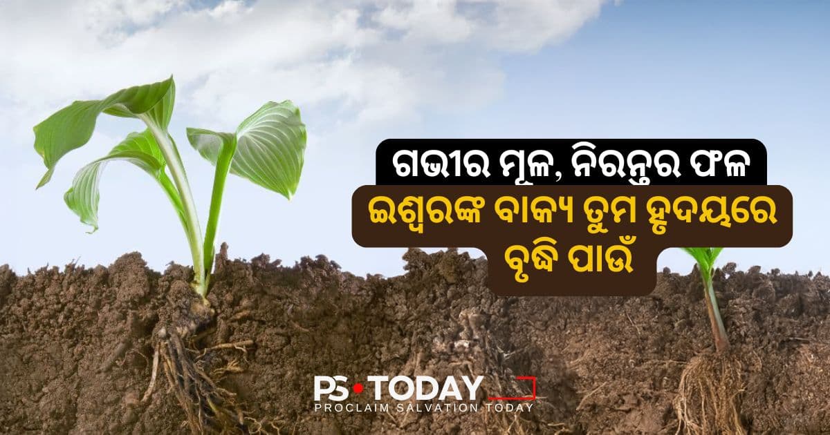 ସ୍ଥାୟୀ ଫଳ ପାଇଁ ଗଭୀର ମୂଳ - PS.Today