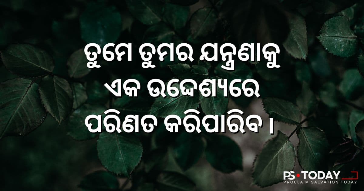 କ୍ଷତିରୁ ଆଶୀର୍ବାଦ ପର୍ଯ୍ୟନ୍ତ - PS.Today