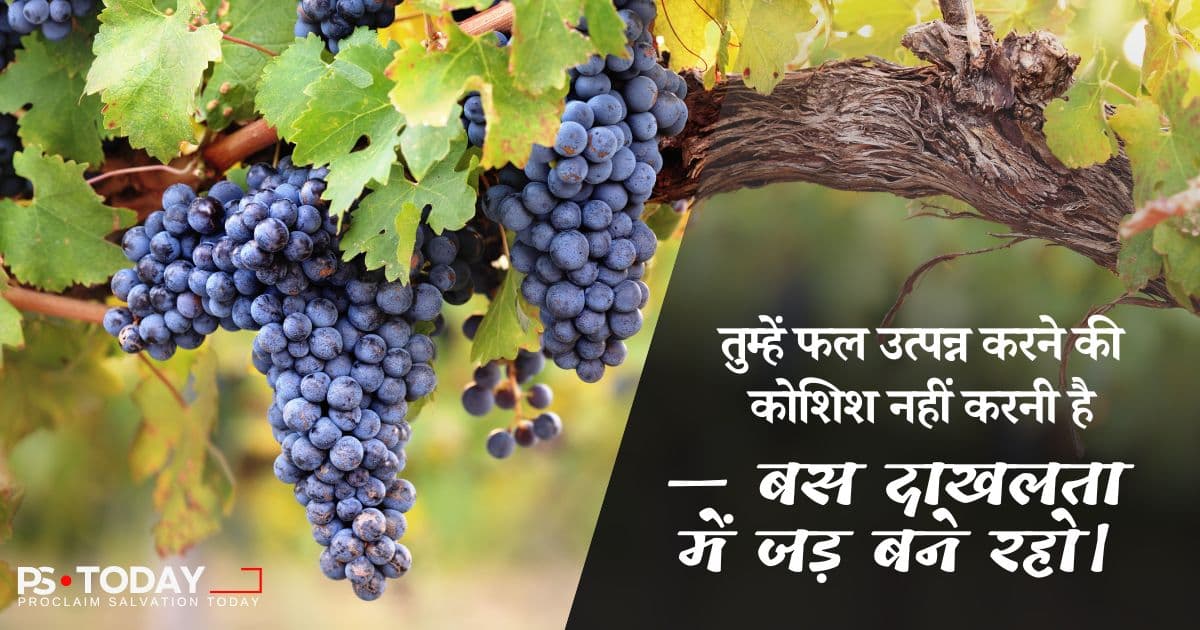 समृद्ध होने के लिए बने रहें - PS.Today