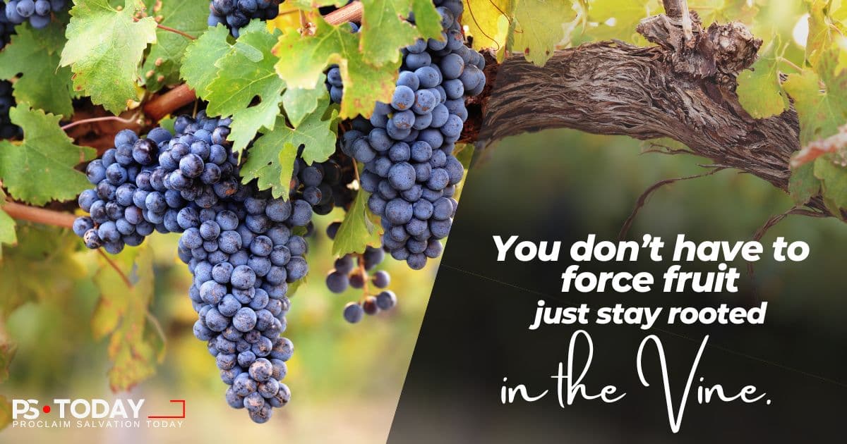 ABIDE TO THRIVE - PS.Today