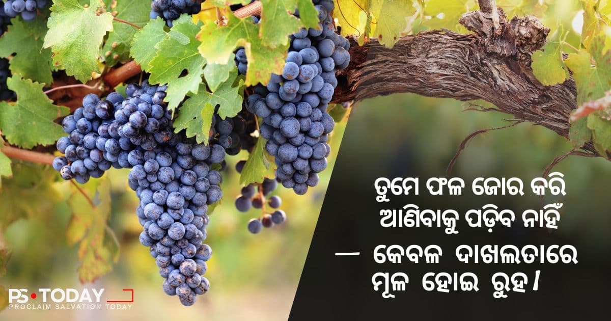 ଉନ୍ନତି ପାଇଁ ସ୍ଥିର ରହିବା - PS.Today